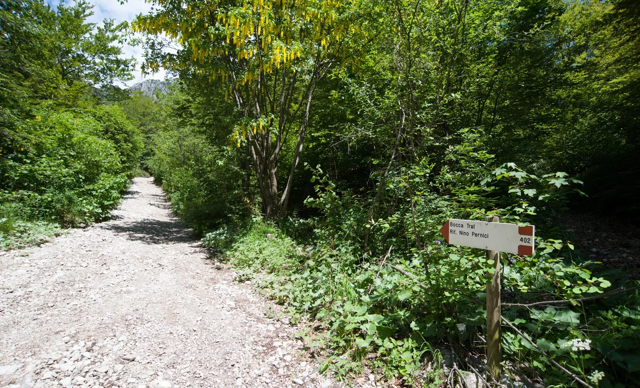 On the trail SAT 402 | © Archivio APT Garda Trentino, Garda Trentino
