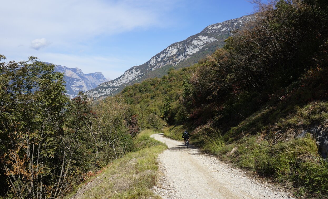 The forest road towards Bolognano | © Archivio Garda Trentino (ph. Marco Giacomello), North Lake Garda Trentino 