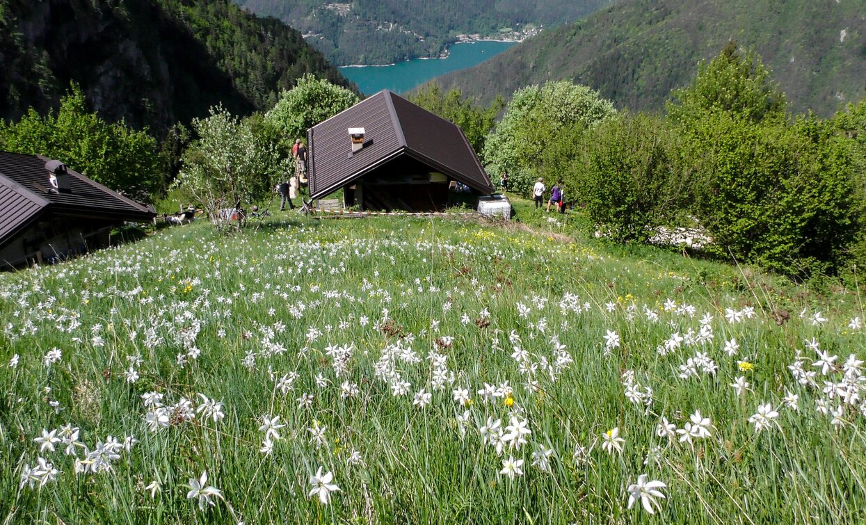 Hay loft in Dromaè | © Roberto Vuilleumier, Garda Trentino 