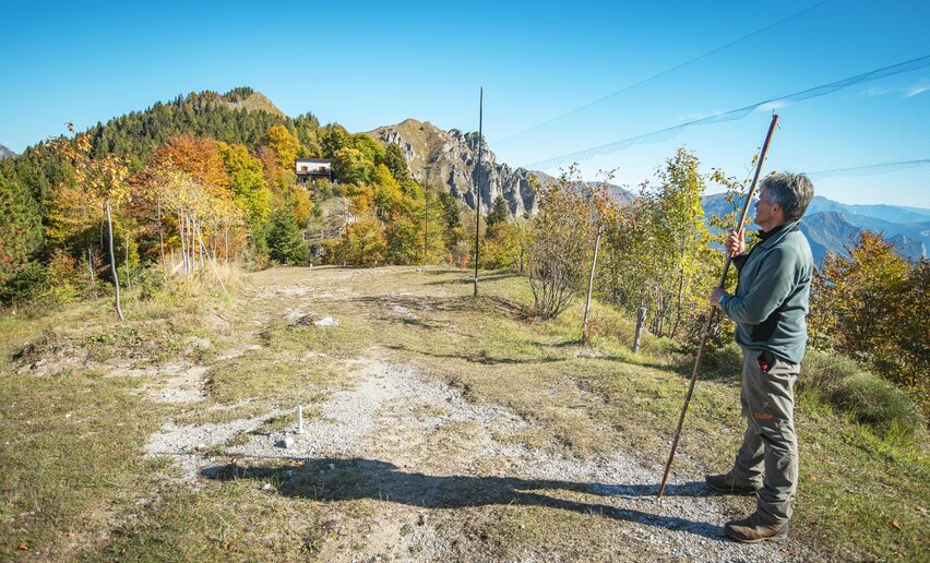Variante Caset Rinalt - Trail
