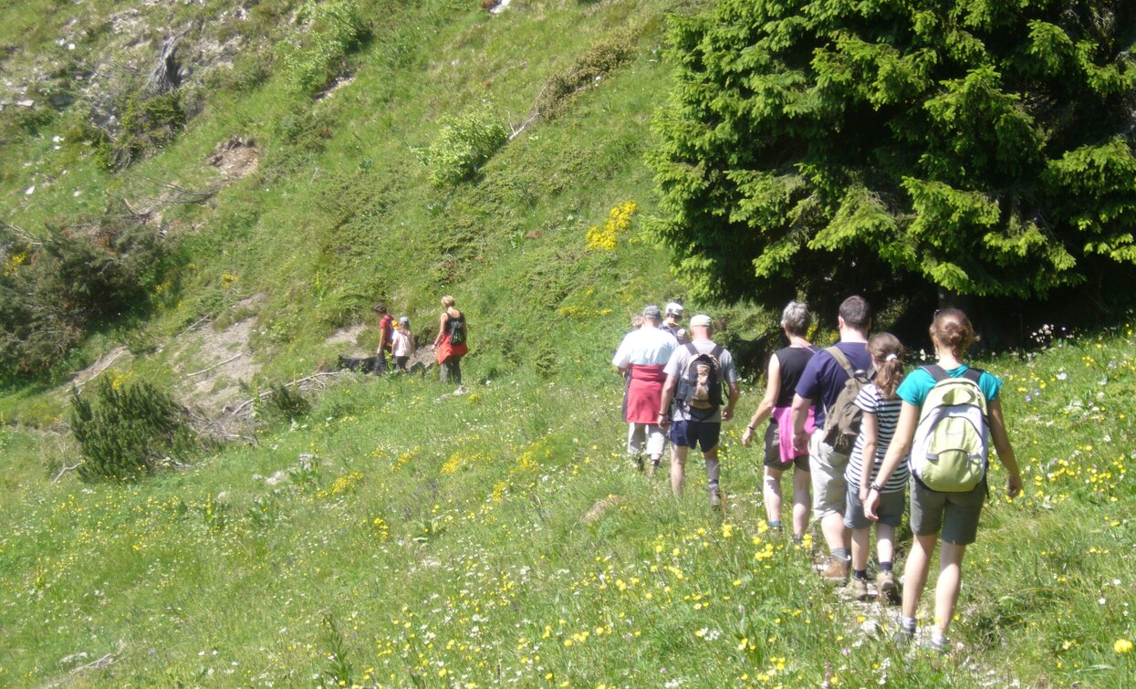 Entlang dem Weg zwischen Caset und Bocca di Val Marza | © Staff Outdoor Garda Trentino AC, Garda Trentino