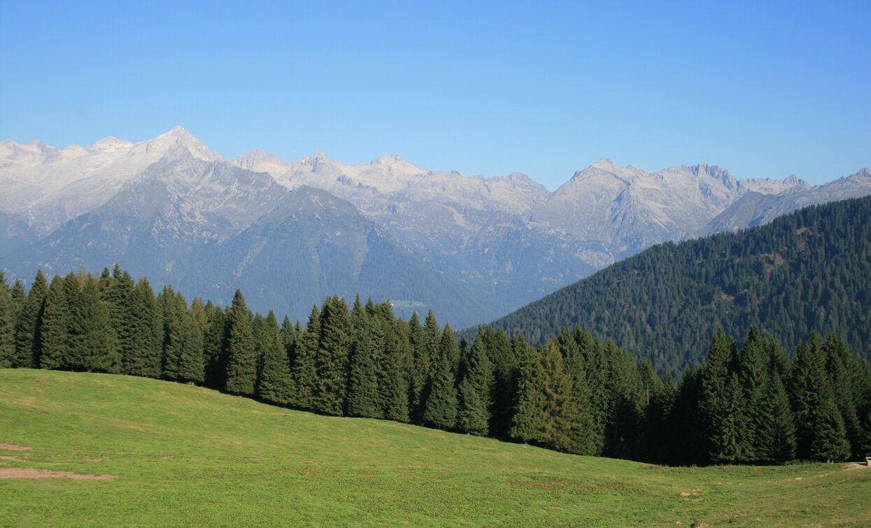 Val Algone: nel Parco Naturale Adamello Brenta | © Staff Outdoor Garda Trentino VN, North Lake Garda Trentino Val Algone: nel Parco Naturale Adamello Brenta | © Staff Outdoor Garda Trentino VN, North Lake Garda Trentino
