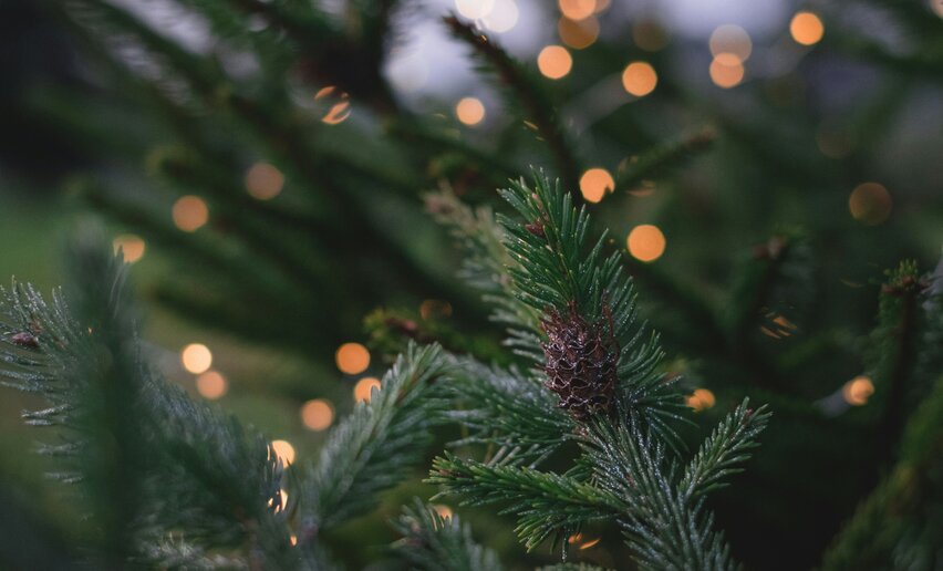 Aspettando il Natale