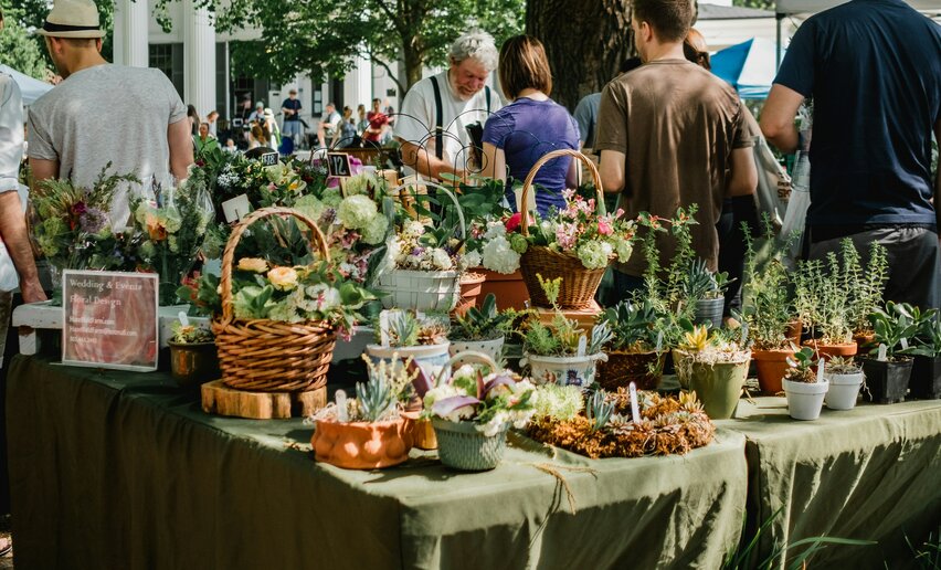 Market in Pieve di Ledro