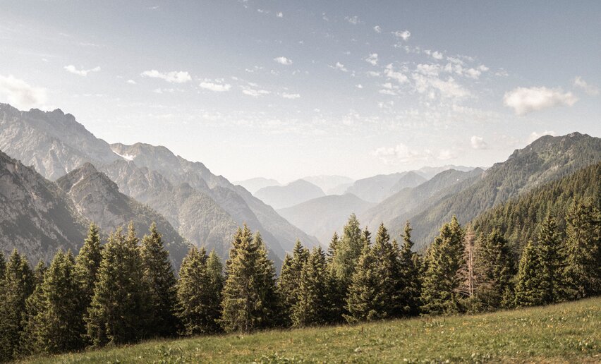 ALPIGRAFISMI: comunicare la montagna