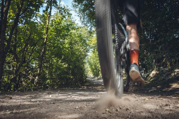 A cyclist in motion on a dirt path surrounded by trees. Dust is rising from the bike's wheel as they pedal.