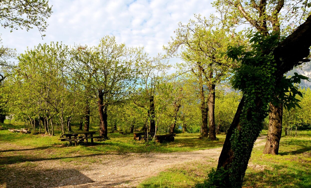Il castagneto sopra Nago | © Archivio Garda Trentino, North Lake Garda Trentino 