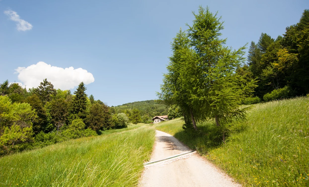 Camminare nel verde | © Archivio Garda Trentino, Garda Trentino 