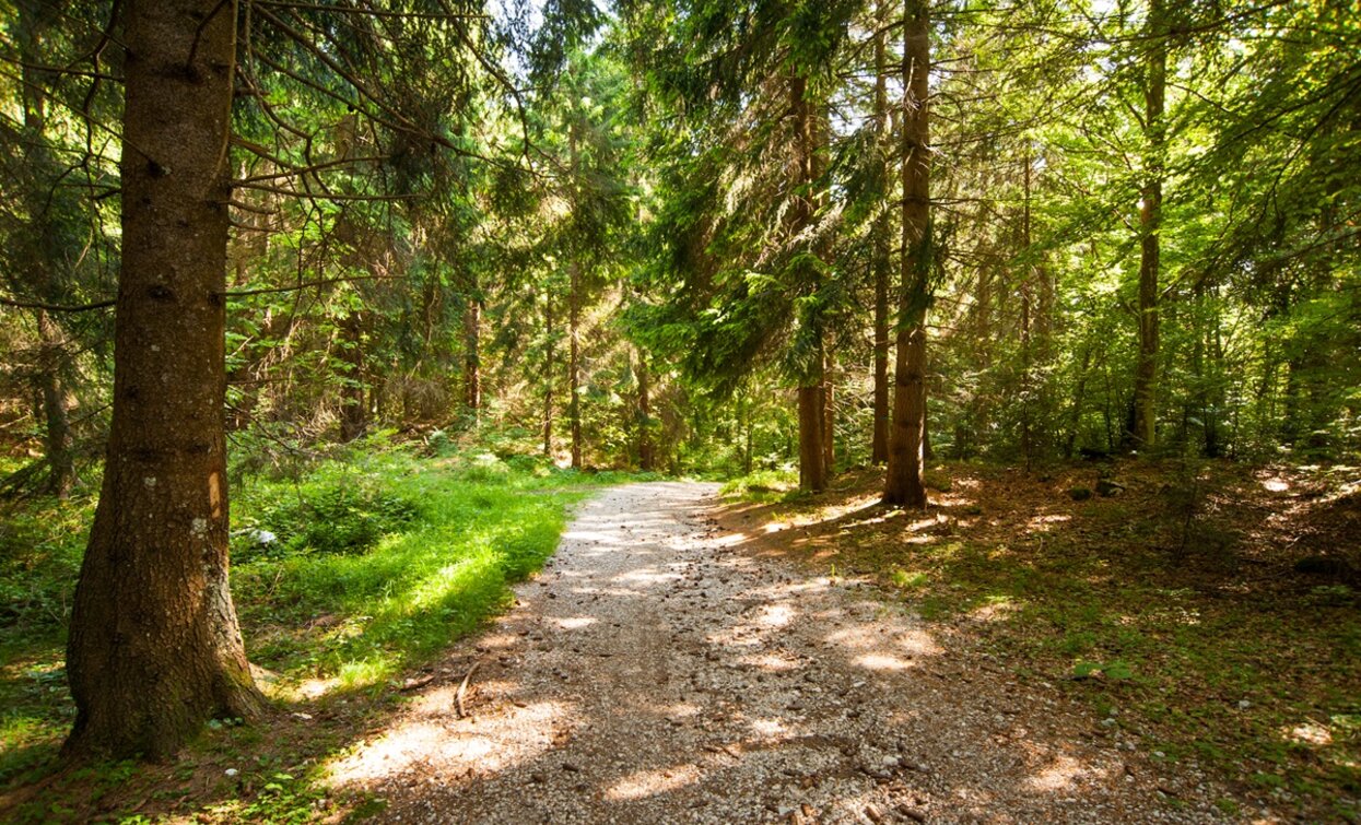 Trail SAT 408 | © M. Giacomello, Garda Trentino