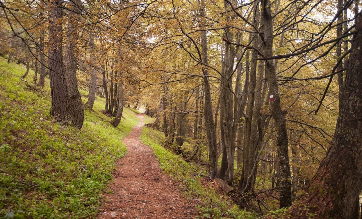 Richtung Cima Bassa | © Archivio Garda Trentino, Garda Trentino