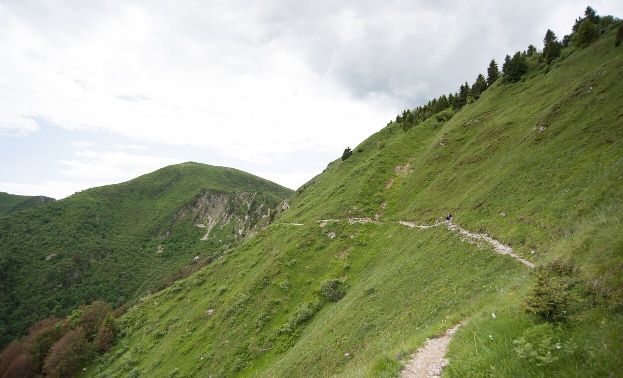 On the SAT 413 route | © Archivio APT Garda Trentino, Garda Trentino