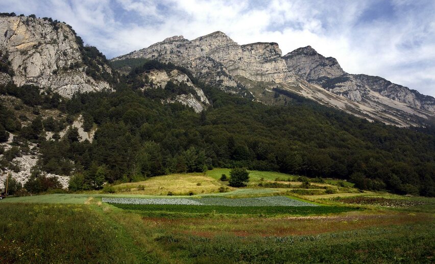 Ascent to Monte Stivo