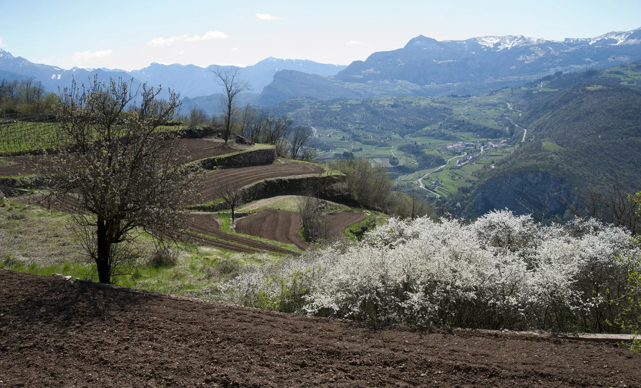 Sentiero della Lasta-Visitrovereto | © x bruschetti, Garda Trentino 