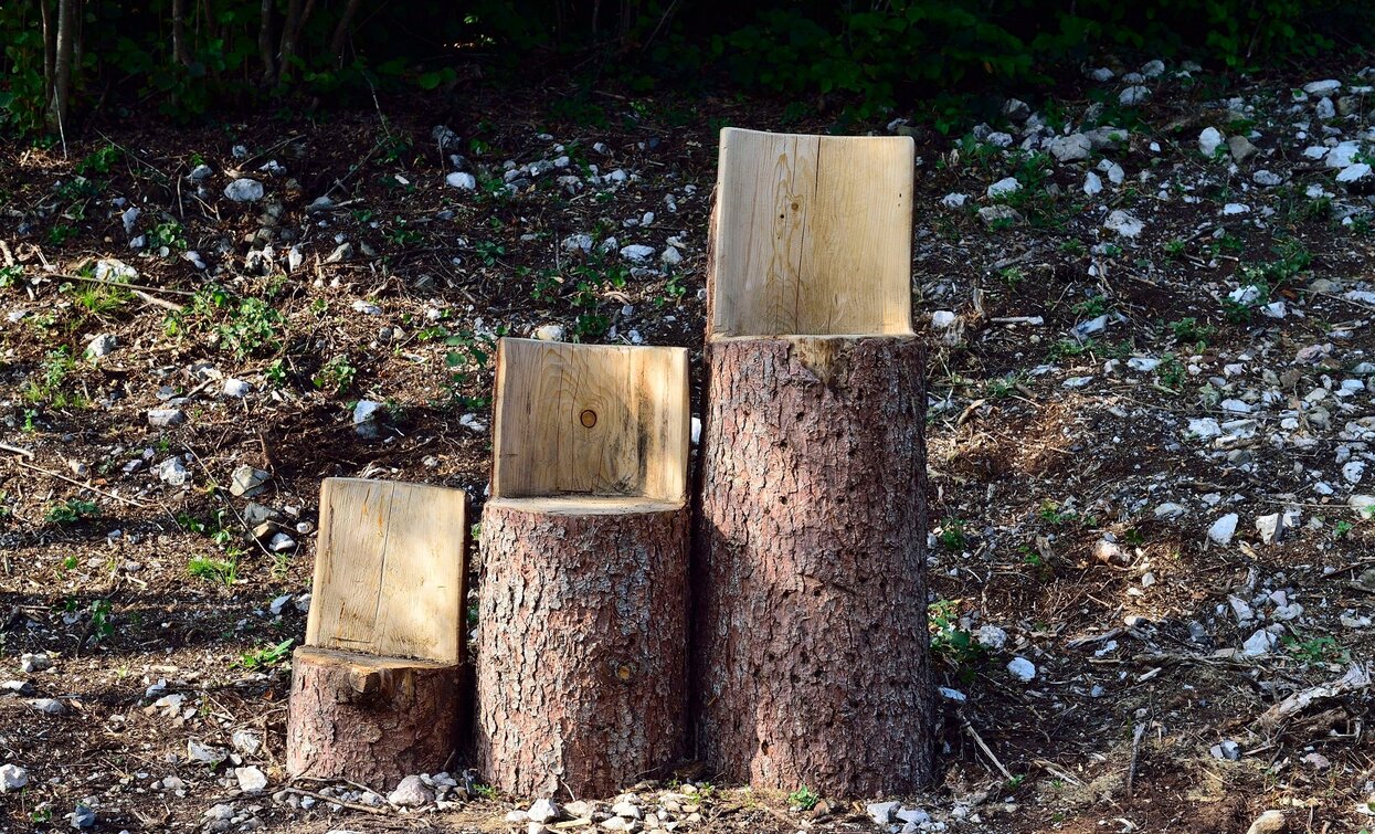 © APT Terme di Comano Dolomiti di Brenta, North Lake Garda Trentino 