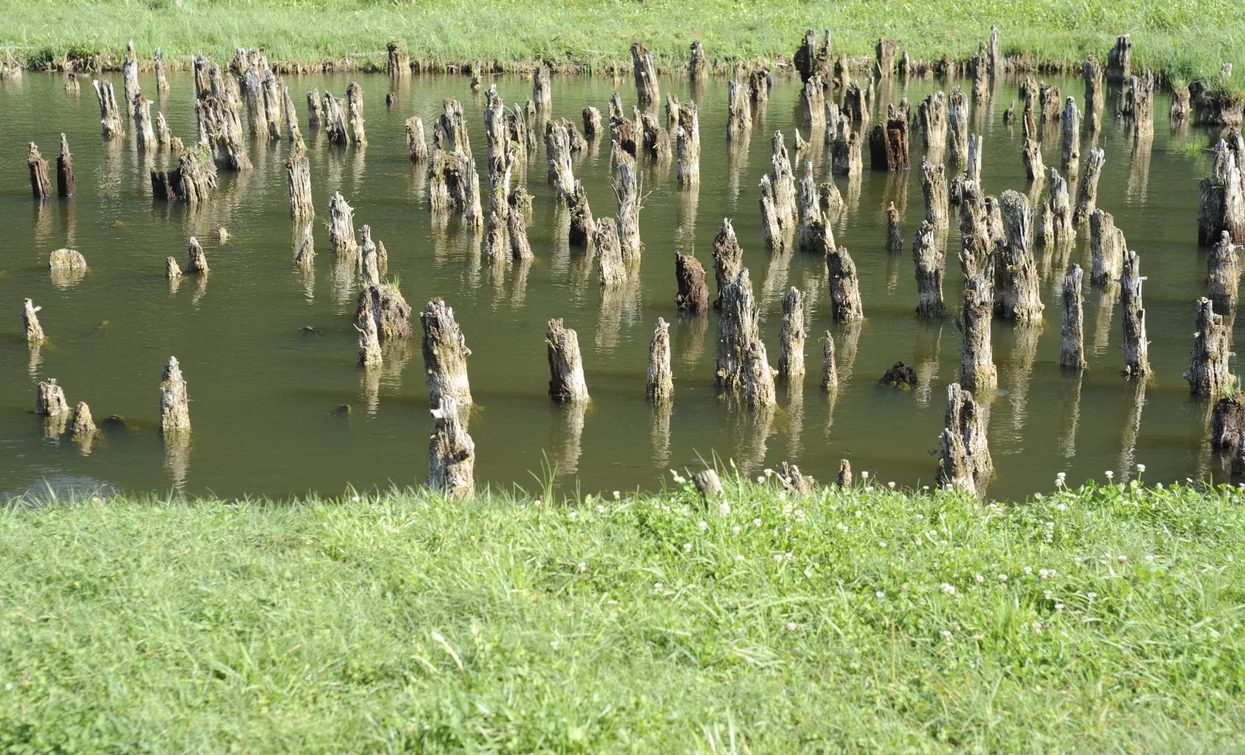 Pfahlbauten-Park Fiavé | © Fototeca Trentino Sviluppo foto di D. Lira, North Lake Garda Trentino 
