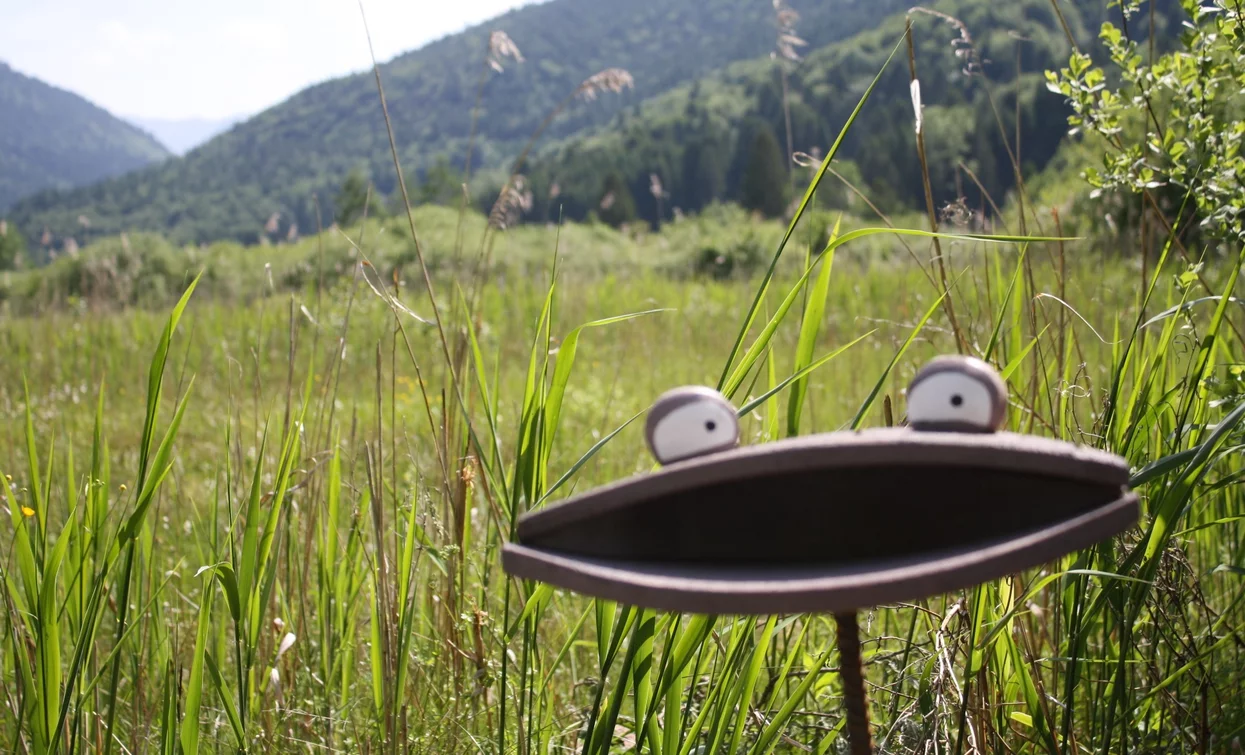 Area archeologica di Fiavé | © APT Terme di Comano Dolomiti di Brenta, North Lake Garda Trentino 