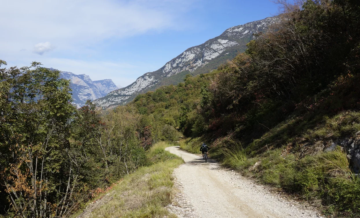 Die Forststraße Richtung Bolognano | © Archivio Garda Trentino (ph. Marco Giacomello), North Lake Garda Trentino 
