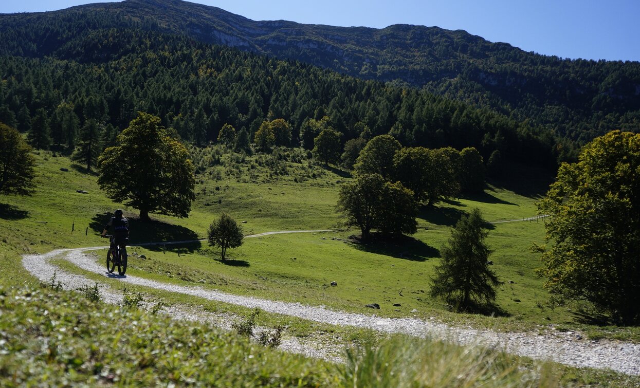 La prima parte su strada forestale tra i prati della Malga Campo | © Archivio Garda Trentino (ph. Marco Giacomello), Garda Trentino La prima parte su strada forestale tra i prati della Malga Campo | © Archivio Garda Trentino (ph. Marco Giacomello), Garda Trentino