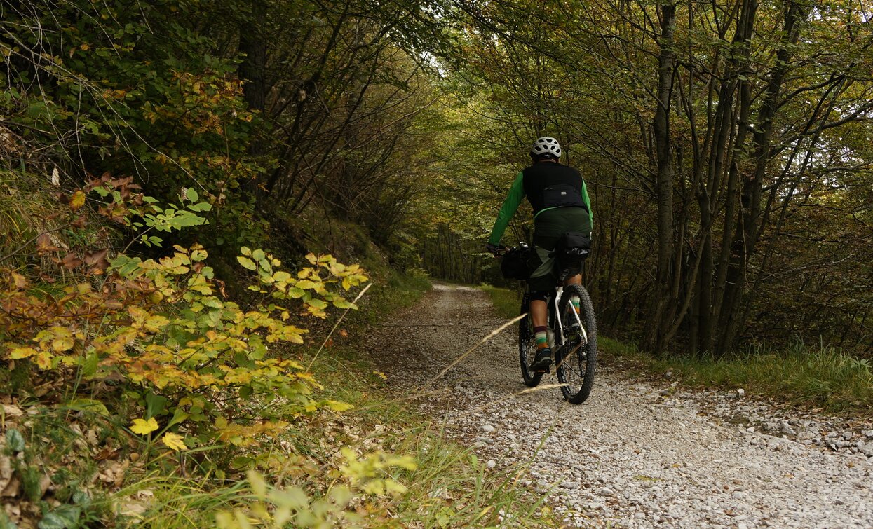 Forest road towards Carobbi | © Archivio Garda Trentino (ph. Marco Giacomello), Garda Trentino 