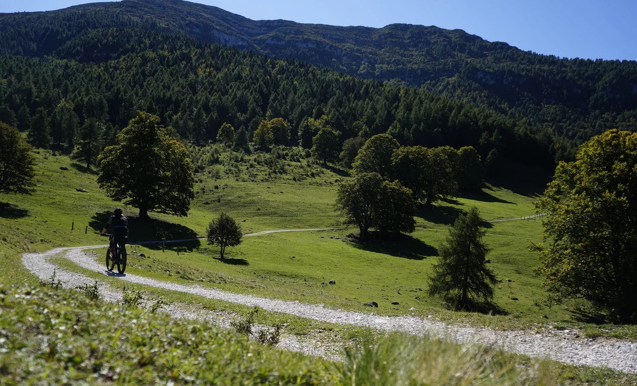 Der erste Abschnitt auf Forstweg zwischen den Wiesen der Malga Campo | © Archivio Garda Trentino (ph. Marco Giacomello), Garda Trentino 