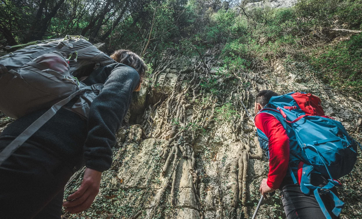 Trekking al Bosco Caproni | © Archivio Garda Trentino (ph. Tommaso Prugnola), Garda Trentino 