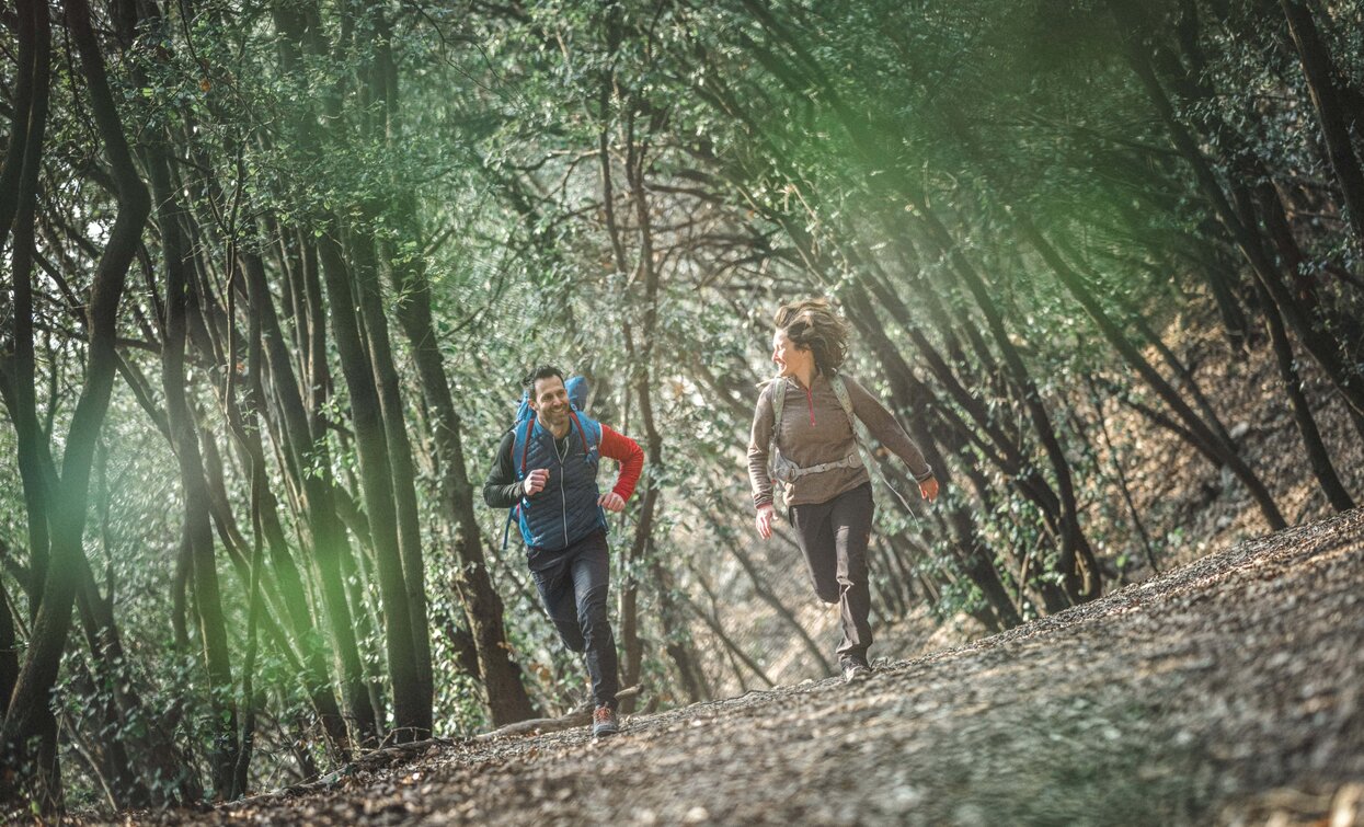 Hiking at Bosco Caproni | © Archivio Garda Trentino (ph. Tommaso Prugnola), Garda Trentino 