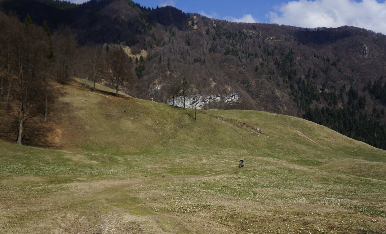 Die Wiesen rund um die Malga Grassi | © Archivio Garda Trentino (ph. Marco Giacomello), Garda Trentino 