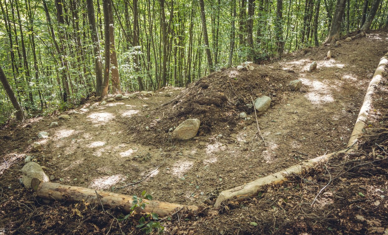 Abfahrt von Malga Grassi | © Archivio Garda Trentino (ph. Tommaso Prugnola), Garda Trentino 