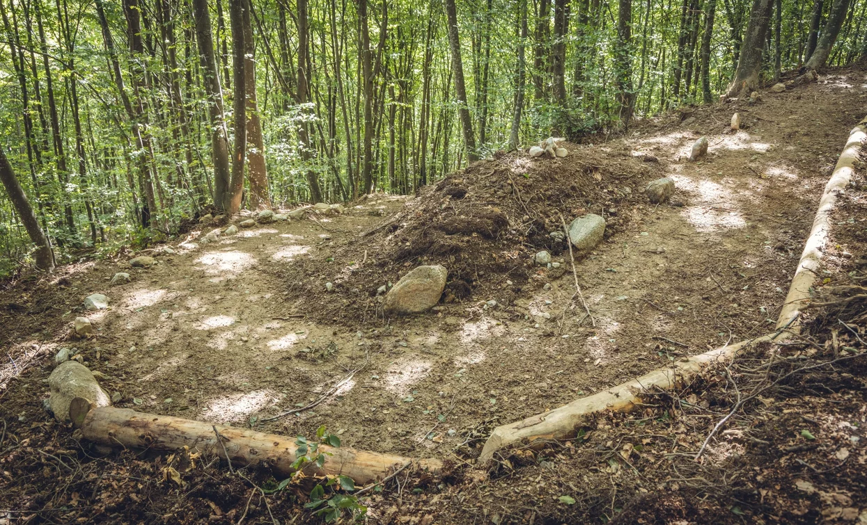 Descent from Malga Grassi | © Archivio Garda Trentino (ph. Tommaso Prugnola), Garda Trentino 