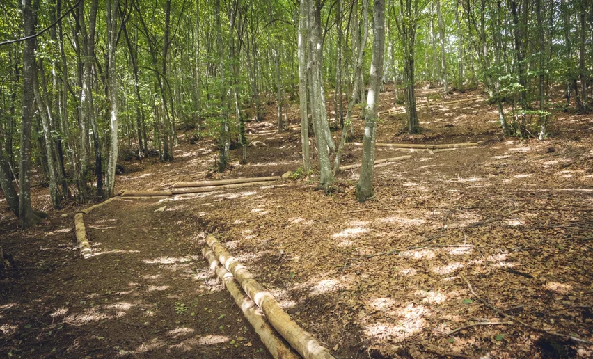 Trail scendendo da Malga Grassi | © Archivio Garda Trentino (ph. Tommaso Prugnola), Garda Trentino 