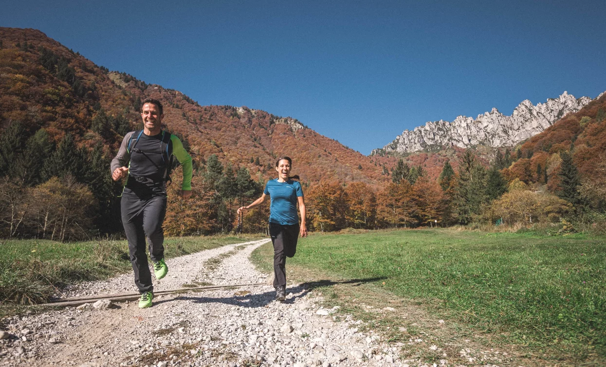 Wiesen von Malga Grassi mit den Kämmen von Pichea im Hintergrund | © Archivio Garda Trentino (ph. Tommaso Prugnola), Garda Trentino 
