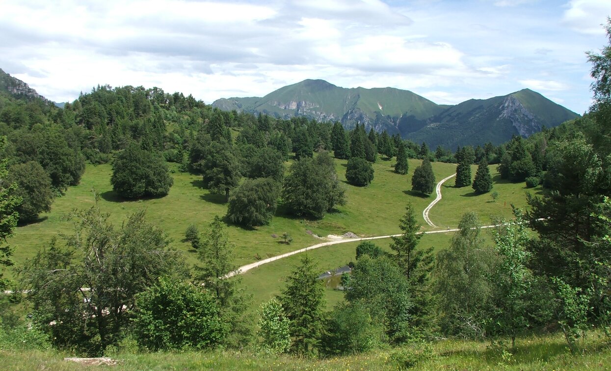 Wiesen am Passo Nota | © Archivio Garda Trentino, Garda Trentino 