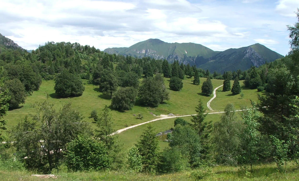 Prati di Passo Nota | © Archivio Garda Trentino, Garda Trentino 