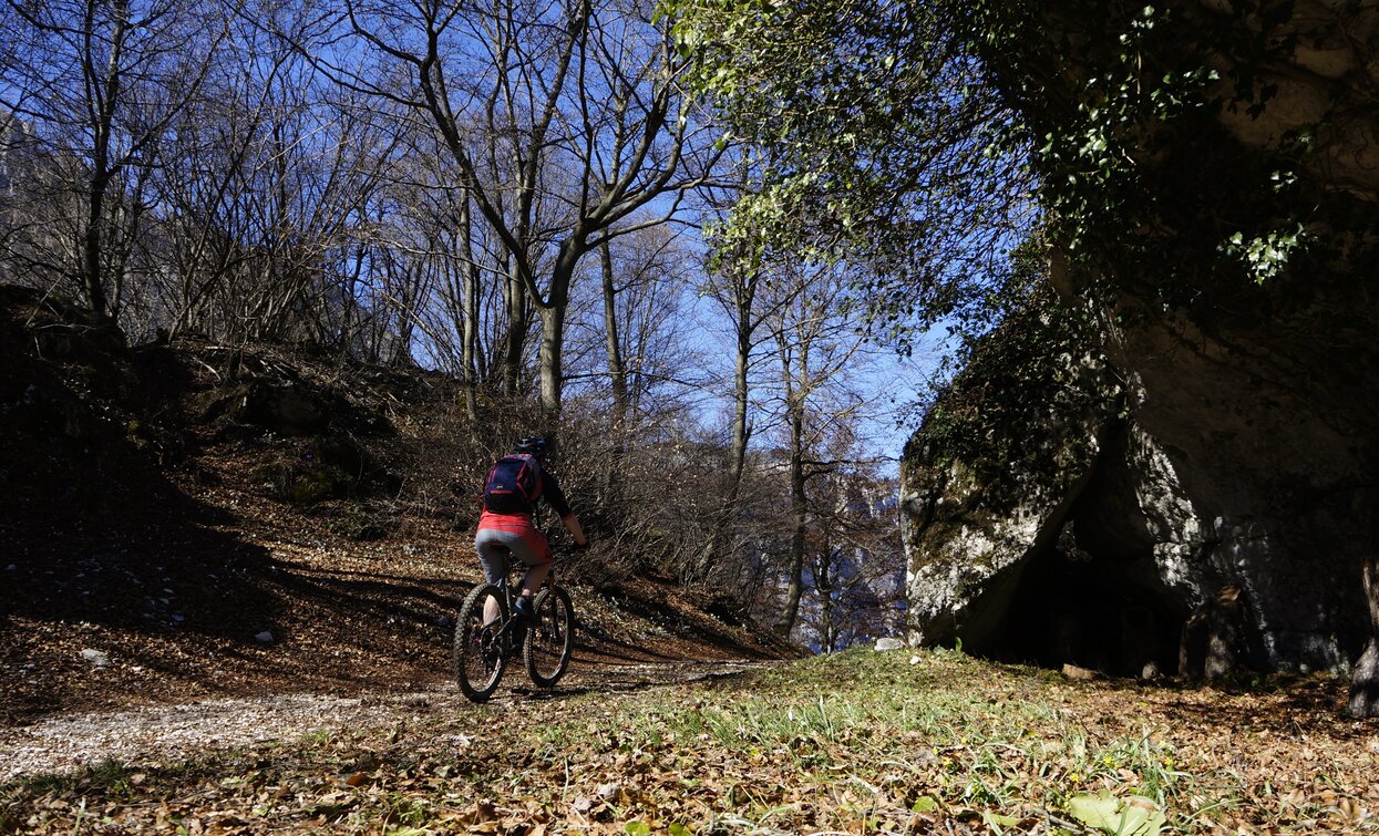 Entlang dem Forstweg nach Vespana | © Archivio Garda Trentino (ph. Marco Giacomello), Garda Trentino 