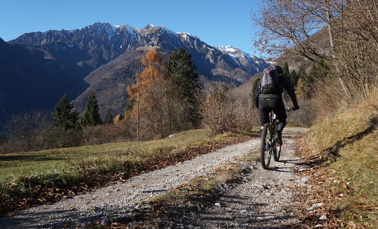 Die Forststraße von Casa Bastiani nach Mena im Winterkleid | © Archivio Garda Trentino (ph. Marco Giacomello), Garda Trentino 