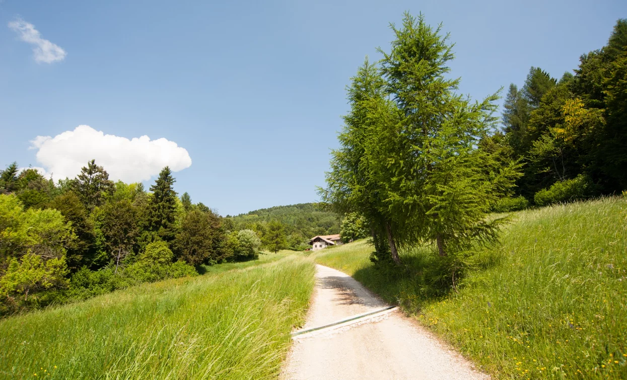 Landscape in San Giovanni | © Archivio Garda Trentino, Garda Trentino 