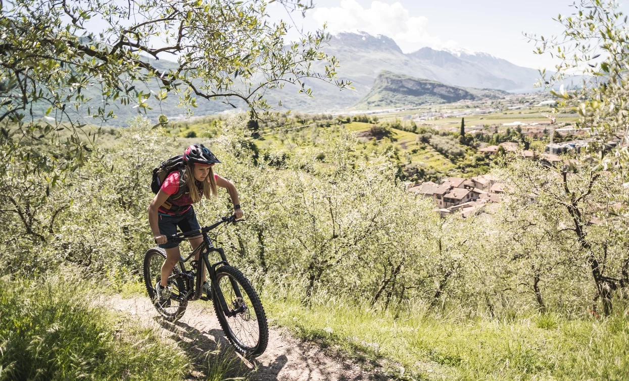 Mountain biking through the olive groves near Arco | © Archivio Garda Trentino (ph. Watchsome), Garda Trentino 