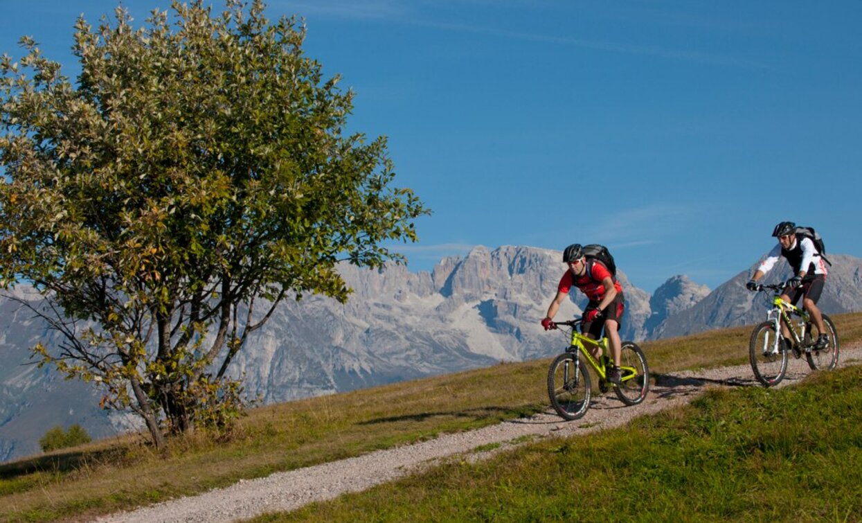 Mountain biking on Monte Casale | © Archivio Garda Trentino (ph. R. Kiaulehn), Garda Trentino 