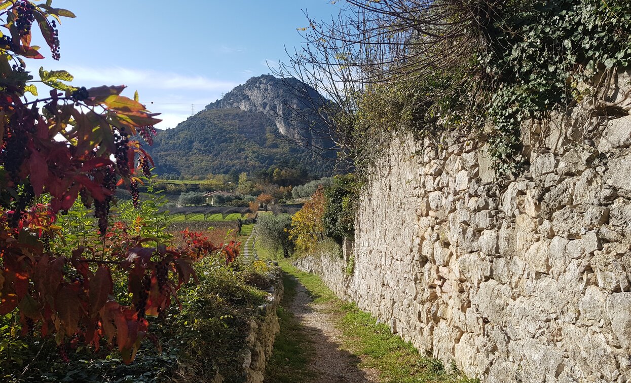 Trockenmauer zwischen Dro und Ceniga | © Archivio Garda Trentino (ph. Angelo Seneci), Garda Trentino 