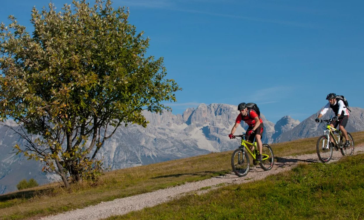With the MTB on Monte Casale | © Archivio Garda Trentino (ph. R. Kiaulehn), Garda Trentino 