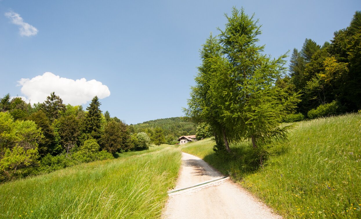 Landscape in San Giovanni | © Archivio Garda Trentino, Garda Trentino 