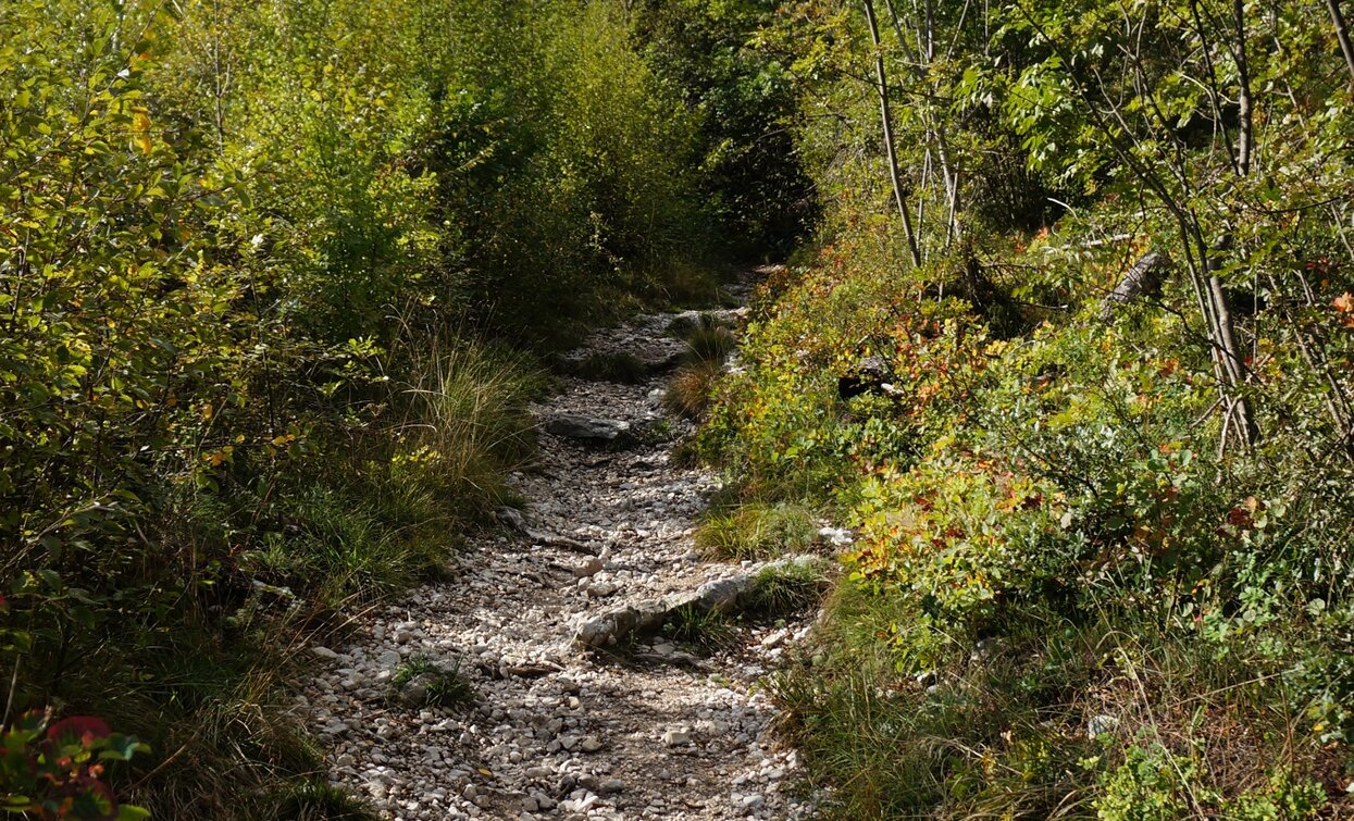 Uno dei passaggi tecnici del trail verso Laghel | © Archivio Garda Trentino (ph. Marco Giacomello), Garda Trentino 