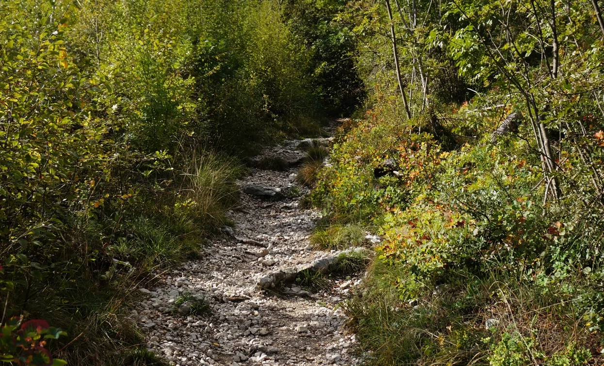 Uno dei passaggi tecnici del trail verso Laghel | © Archivio Garda Trentino (ph. Marco Giacomello), Garda Trentino 