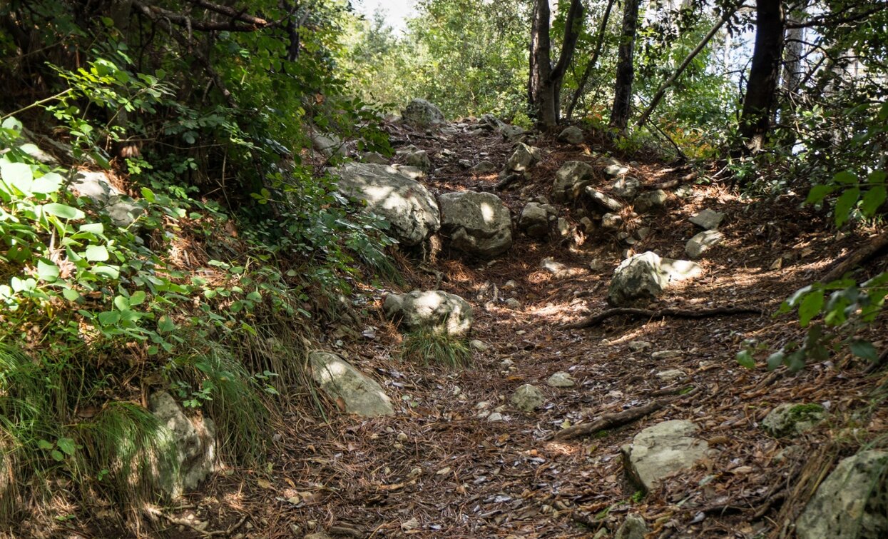 One of the technical sections of the route towards Laghel | © Archivio Garda Trentino (ph. Marco Giacomello), Garda Trentino 