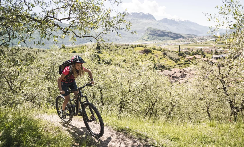 By mountain bike through the olive groves of Arco | © Archivio Garda Trentino (ph. Watchsome), Garda Trentino 