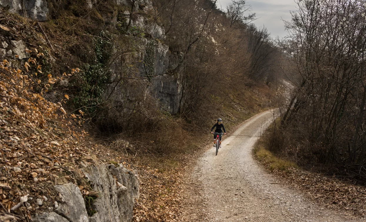 Die „Opel“ Forststraße | © Archivio Garda Trentino (ph. Marco Giacomello), Garda Trentino 