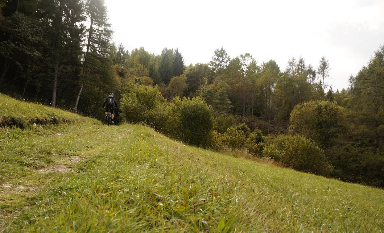 Meadows at Malga Zanga | © Archivio Garda Trentino (ph. Marco Giacomello), North Lake Garda Trentino 