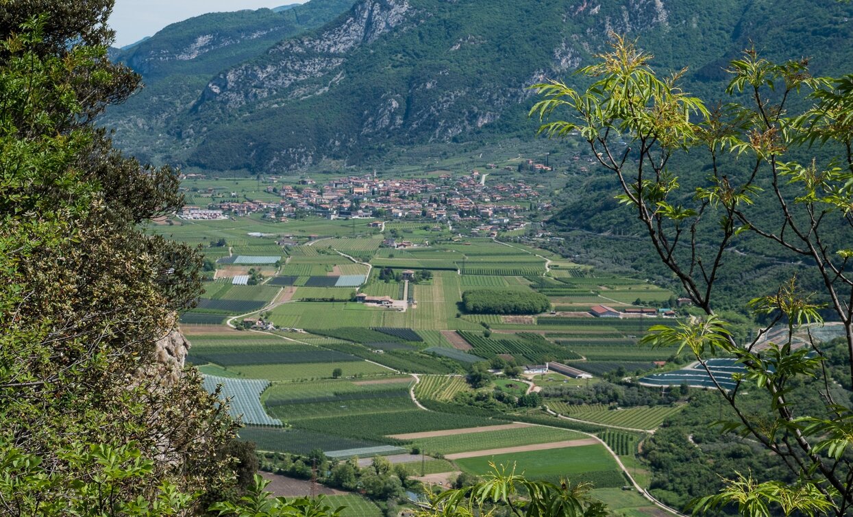 Landschaft rund um Arco | © Archivio Garda Trentino (ph. Roberto Vuilleumier) , Garda Trentino 