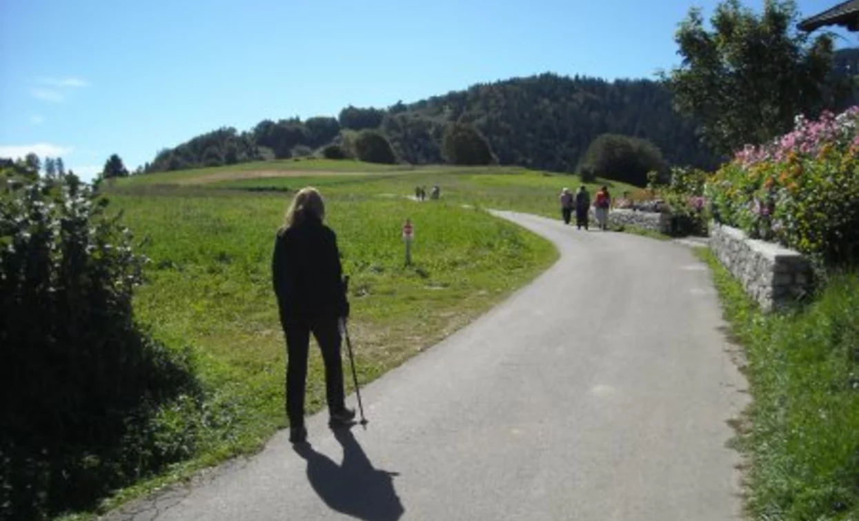 Verso Malga Somator | © ApT Rovereto Vallagarina Monte Baldo - Prodotto Outdoor, Garda Trentino 