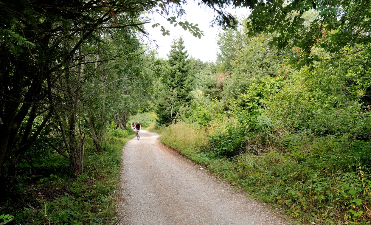 First section of the ascent to Monte Casale | © Archivio Garda Trentino, Garda Trentino 